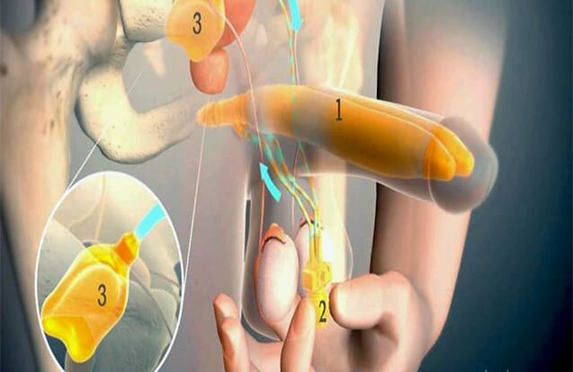 Lipofilmimine